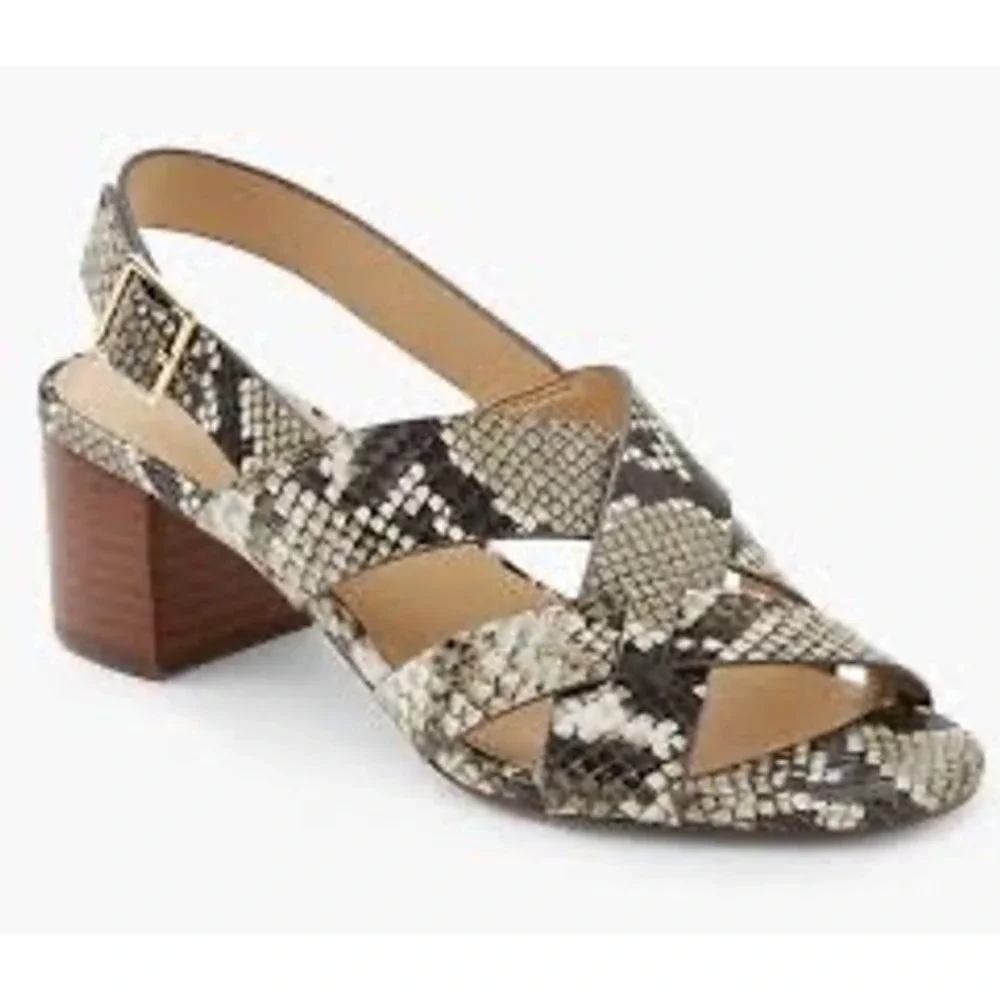 Talbots Mimi Size‎ 8M Snakeskin Print Block Heel Sandals Ankle Strap (M599)